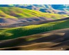 crete senesi landscape - san martino in grania.jpg