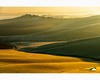 smooth rolling hills in the early morning at ville di corsano (crete senesi).jpg