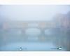 ponte vecchio in a foggy morning with a rower.jpg