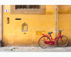 a wine window and a red bike in via zannetti.jpg