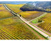 chianti vineyard patterns a photographic project by © andrea bonfanti ph.