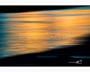 an abstract picture of the river arno at sunset #1