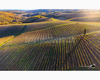 chianti vineyard patterns a photographic project by © andrea bonfanti ph.