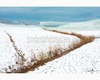 crete senesi landscape Winter #4 leonina.jpg
