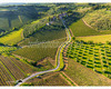 chianti vineyard patterns a photographic project by © andrea bonfanti ph.