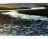 st.idesbald north sea - low tide abstractions #2.jpg